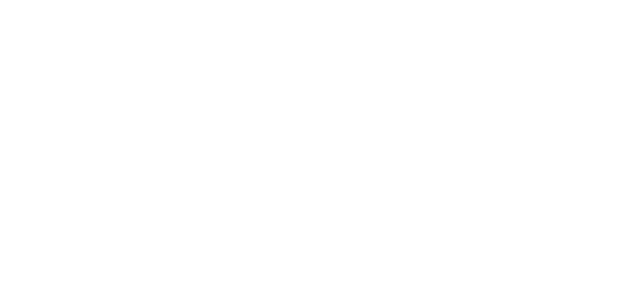 Next Rent a Car — locadora na Flórida, EUA